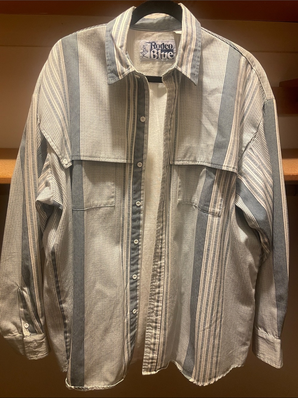 Roper Rodeo Blue Men's Blue and White Vertical Stripe Button-Up Shirt